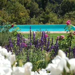 Podere Il Colto Gaiole in Chianti